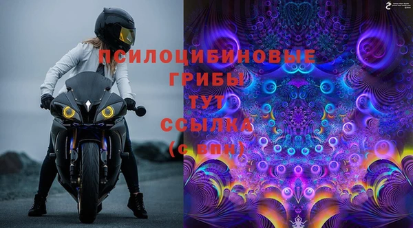трава Магадан