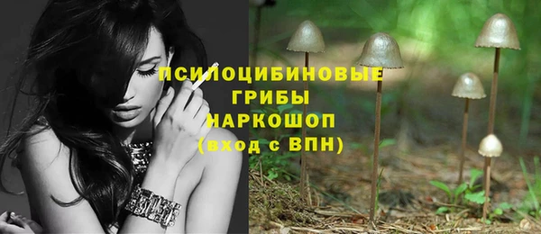 трава Магадан