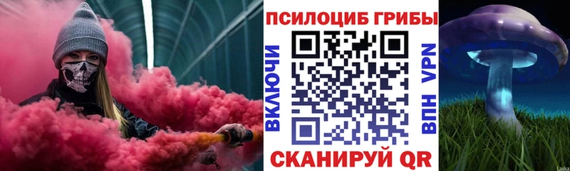 Псилоцибиновые грибы мицелий  Чкаловск 